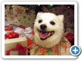 holly1126